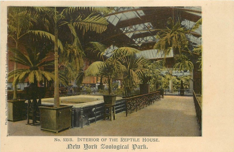 c1906 Postcard 533.B Interior of Reptile House New York Zoological Park Unposted