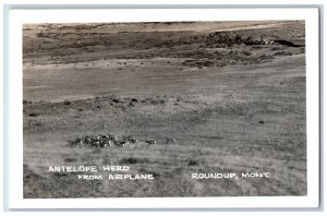 Roundup Montana MT Postcard Antelope Herdd from Airplane c1950's RPPC Photo