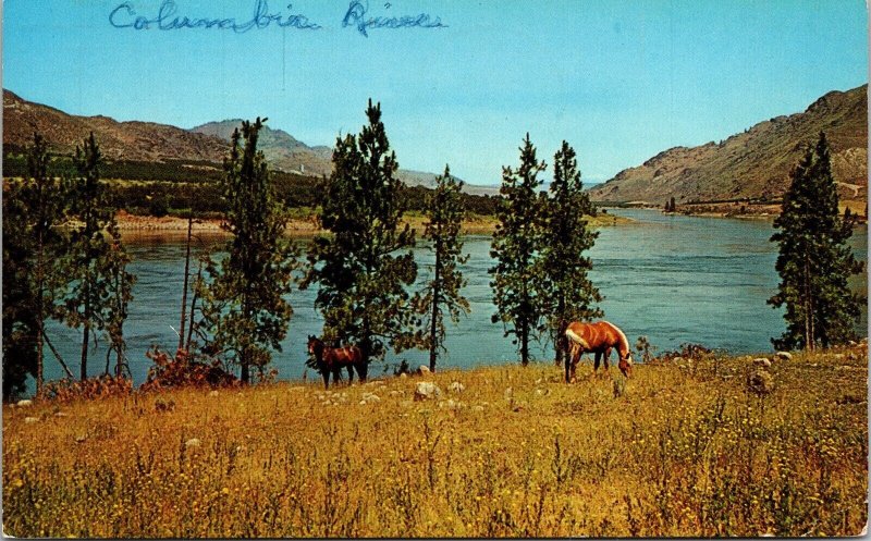 Columbia River Bank Postcard PM Cancel WOB Note VTG Dexter Vintage