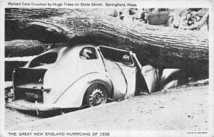 12504   MA Springfield  1938 Hurricane    Cars crushed by Huge trees on State...