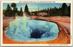 Morning Glory Pool Yellowstone National Park Wyoming WY Pine Trees Postcard
