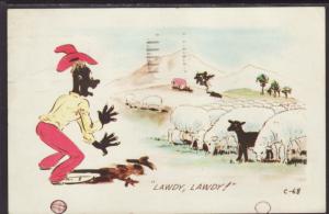 Lawdy,Lawdy,Balck Man,Black Sheep Comic Postcard
