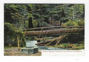 1907-15 Mineral Springs, Ravenna Park, Seattle Washington Postcard