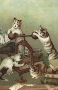 PC CATS, ANTHROPOMORPHIC CATS PRINTING, Vintage LITHO Postcard (b47112)
