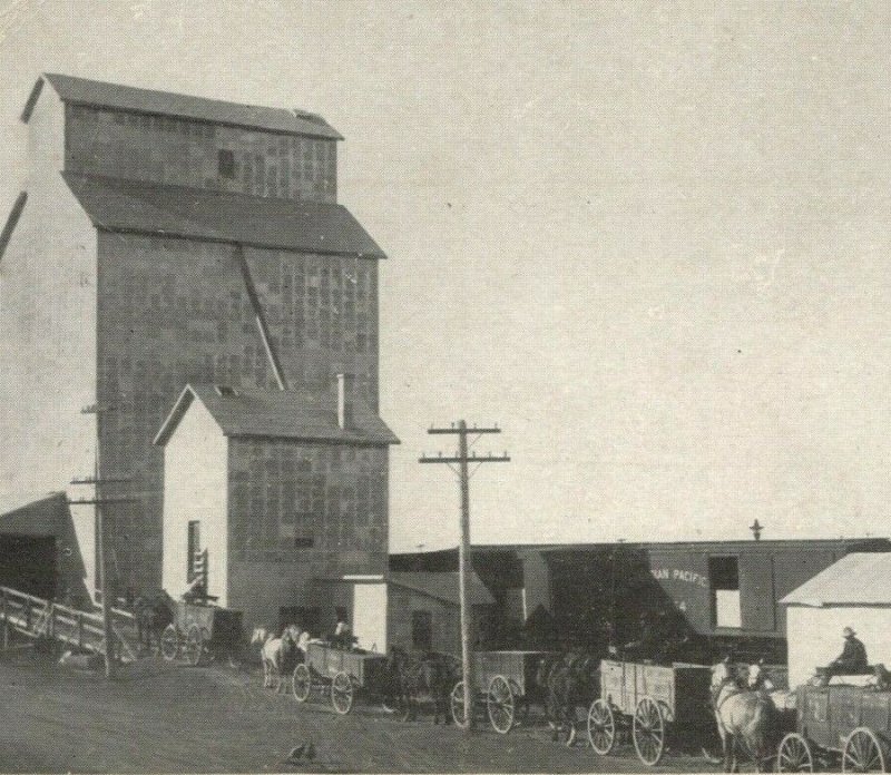 1909 Elevators Western Canada Farm Horse Wagons Farmers Rice Vintage Postcard 