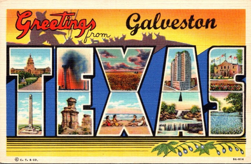 Texas Greetings From Galveston Large Letter Linen Curteich