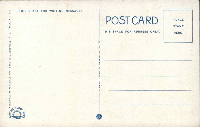 Delray Florida FL Masonic Building c1920 Postcard