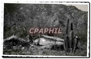 Argentina Argentina Photo