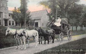 Harrison Maine Harrison Tally-Ho Coach, Color Lithograph Vintage Postcard U5962