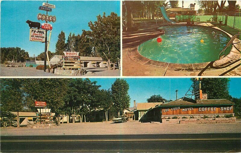 Café Lovelock Nevada Sturgeon's Log Cabin Motel Postcard Mc CO roadside 21-58