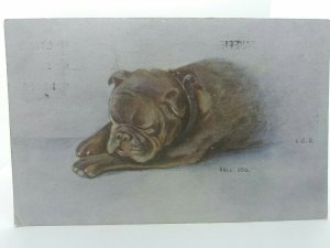 Bulldog Having a Snooze Painting by L.E.D Vintage Antique Postcard Posted 1919