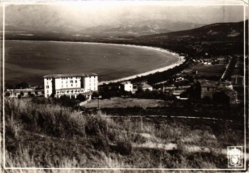 CPM CORSE - CALVI - La plage et la pinéde (711000)