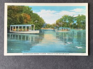 Glass Bottom Boats Silver Springs FL Litho Postcard H2336083250