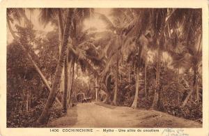 BR56851 Mytho une allee de cocotiers Cochinchine   Vietnam