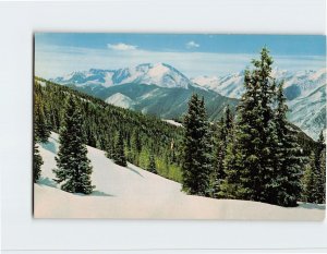 Postcard Snow In The Mountains, Monarch Pass, Colorado