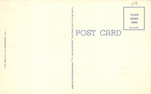 Overlooking the Spa Beach and Recreation Pier St Petersburg, Florida