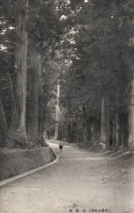 Vintage Postcard 1910's View of Big Trees a Man Walking Alone on Road Japan JPN