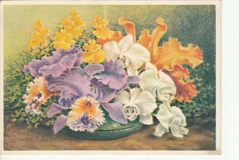 Flowers ornament still life postcard