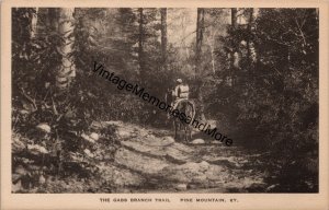 The Gabs Branch Trail Pine Mountain KY Postcard PC256