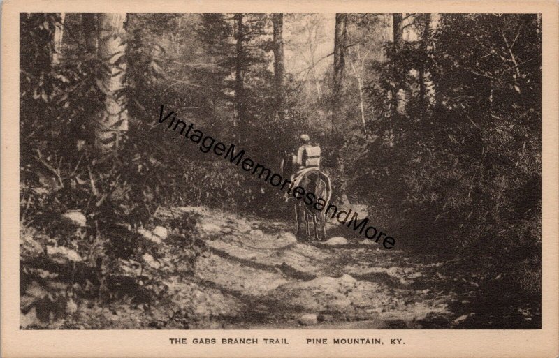 The Gabs Branch Trail Pine Mountain KY Postcard PC256