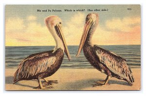 Ma And Pa Pelican Florida Postcard