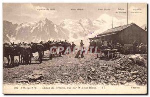 Old Postcard Chamonix Chalet Du Brevent View Of The Mont Blanc Donkeys Horses