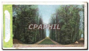 Old Postcard Travel to Chantilly outside Paris Three Allees