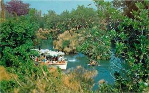 Amusement Disneyland Anaheim California Jungle Cruise Postcard 4357