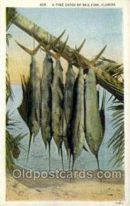 Florida, USA Fishing Old Vintage Antique Postcard Post Card  Florida, USA