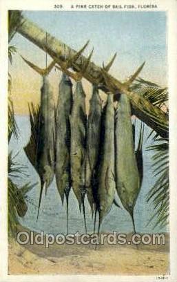 Florida, USA Fishing Old Vintage Antique Postcard Post Card  Florida, USA