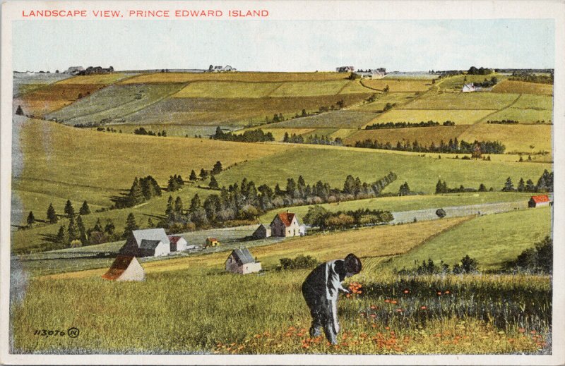 Landscape View Prince Edward Island PE Valentine Black Co Postcard G39