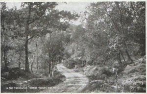 Scotland Postcard - In The Trossachs - Where Twines The Path Stirling - TZ3344