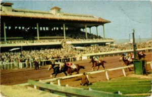 CPM AK Tijuana. Agua Caliente Turf Club. Finish of Horse Race MEXICO (661906)