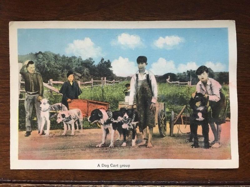 A Dog Cart Group, New Brunswick, Cananda Hand Colored D10