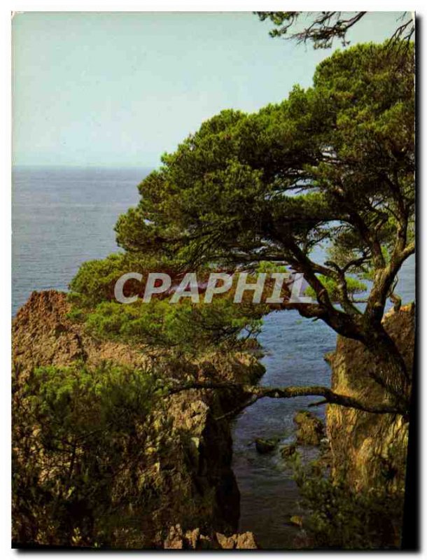 Modern Postcard The French Riviera unforgettable The Golden Corniche Creeks