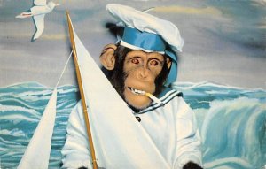 Sailor Monkey Unused 