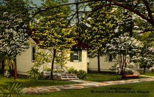 KY - Mammoth Cave Nat'l Park. Hotel Cottages