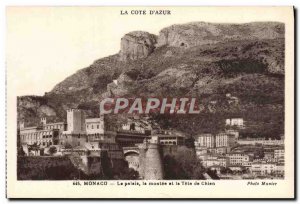 Old Postcard Monaco Palace and the rise of dog head