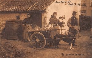 Belgium Laitiere flamande Flemish Milk Maid Dog Cart Peasants Farm postcard B914