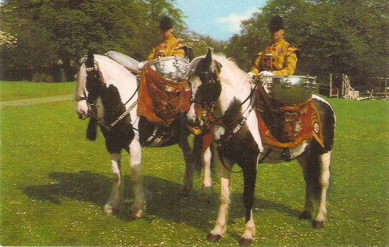 Drum Horses. Household Cavalry. London Vintage Salmon postcard