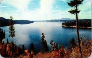 Hayden Lake Coeur d'Alene Idaho ID Postcard Ross Hall Studios Dexter Press