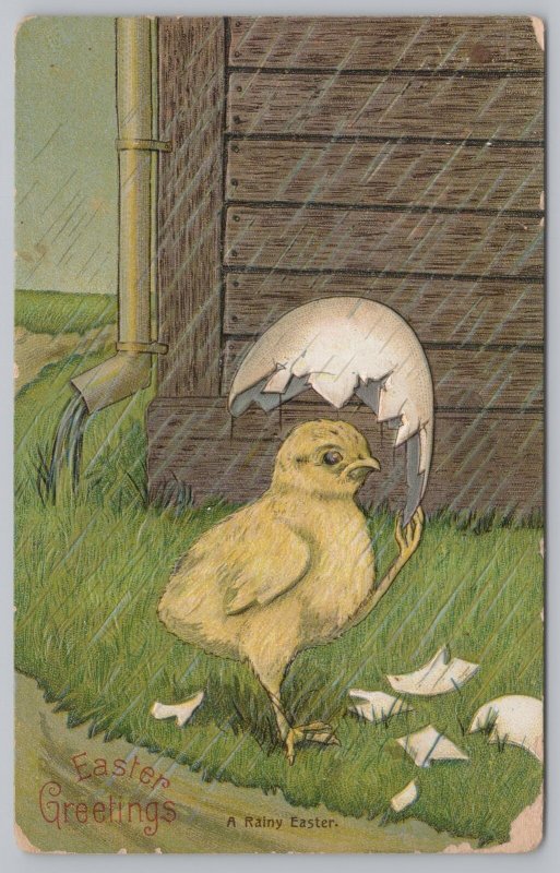 Easter Greetings~A Rainy Easter~Duck Uses Eggshell As Umbrella~#1919~PM 1909 PC 