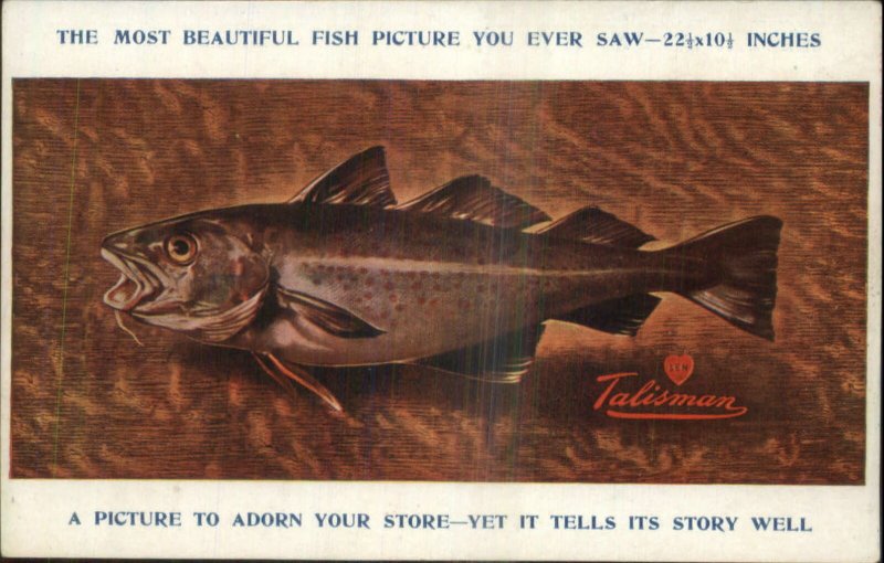 Fishing - Fish Plaque Swift & Co Elmira NY Adv Talisman c1910 Postcard