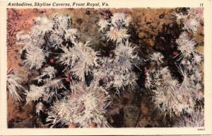 Anthodites, Skyline Caverns, Front Royal VA Vintage Linen Postcard G23