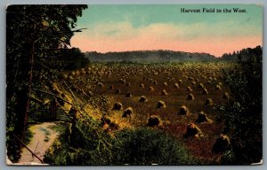 Postcard c1910s Harvest Field In The West Hay Piles