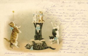 PC CATS, SIX CATS BALANCING EACH OTHER, Vintage LITHO Postcard (b47223)