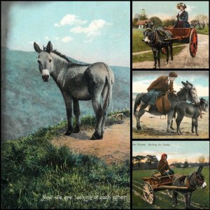 Lot of 4 vintage postcards donkey related British manufacture