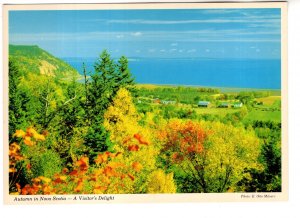 Coastal Farm Trees, Autumn in Nova Scotia, The Book Room