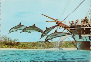 Sea Life Park Hawaii HI Porpoises Jumping Essex Ship Unused Vintage Postcard C2