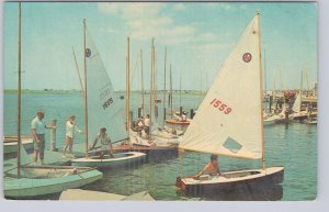 Sailboats Off To The Races, St Lunaire, Newfoundland, Vintage Chrome Postcard